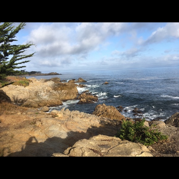 Meet your Posher, Barbara - Picture 1 of 1